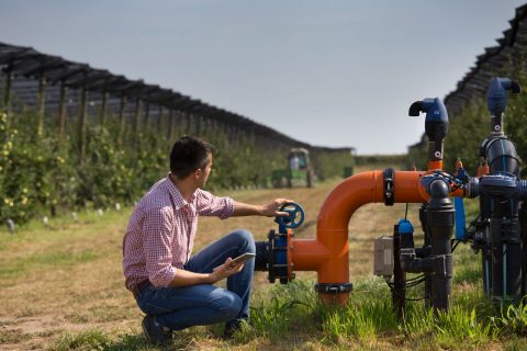 כרם ברקן לטרון