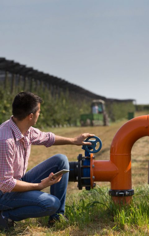 כרם ברקן לטרון