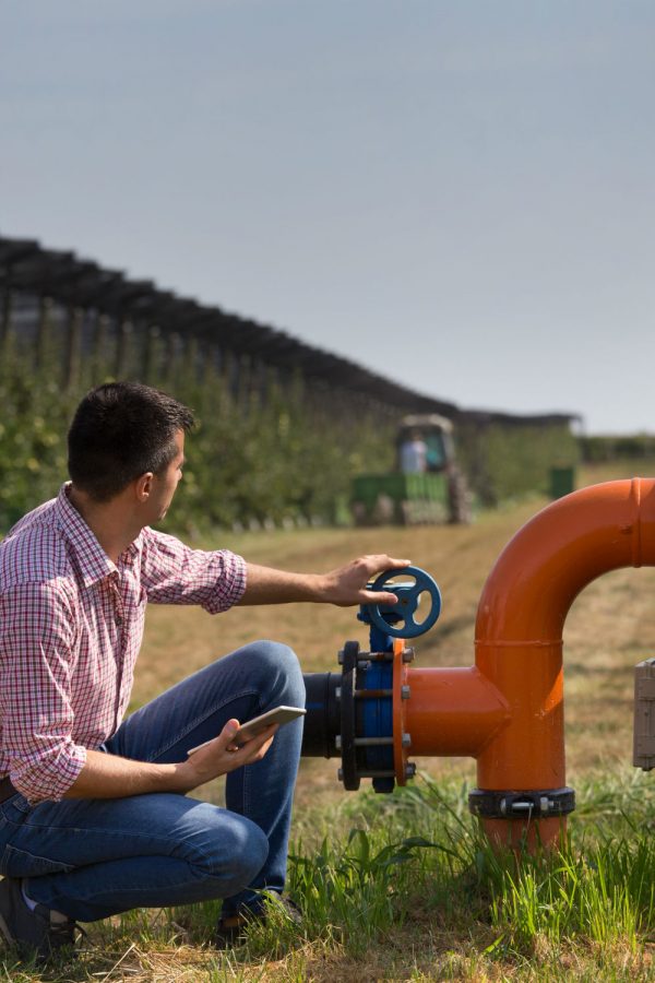 כרם ברקן לטרון