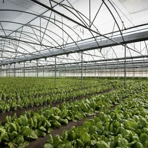 Depositphotos_32861893_xl-2015-L