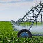 Depositphotos_8927285_xl-2015-L