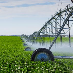 Depositphotos_8927285_xl-2015-L