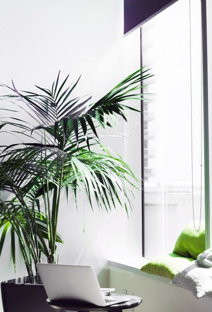 alesia-kazantceva-283287-unsplash